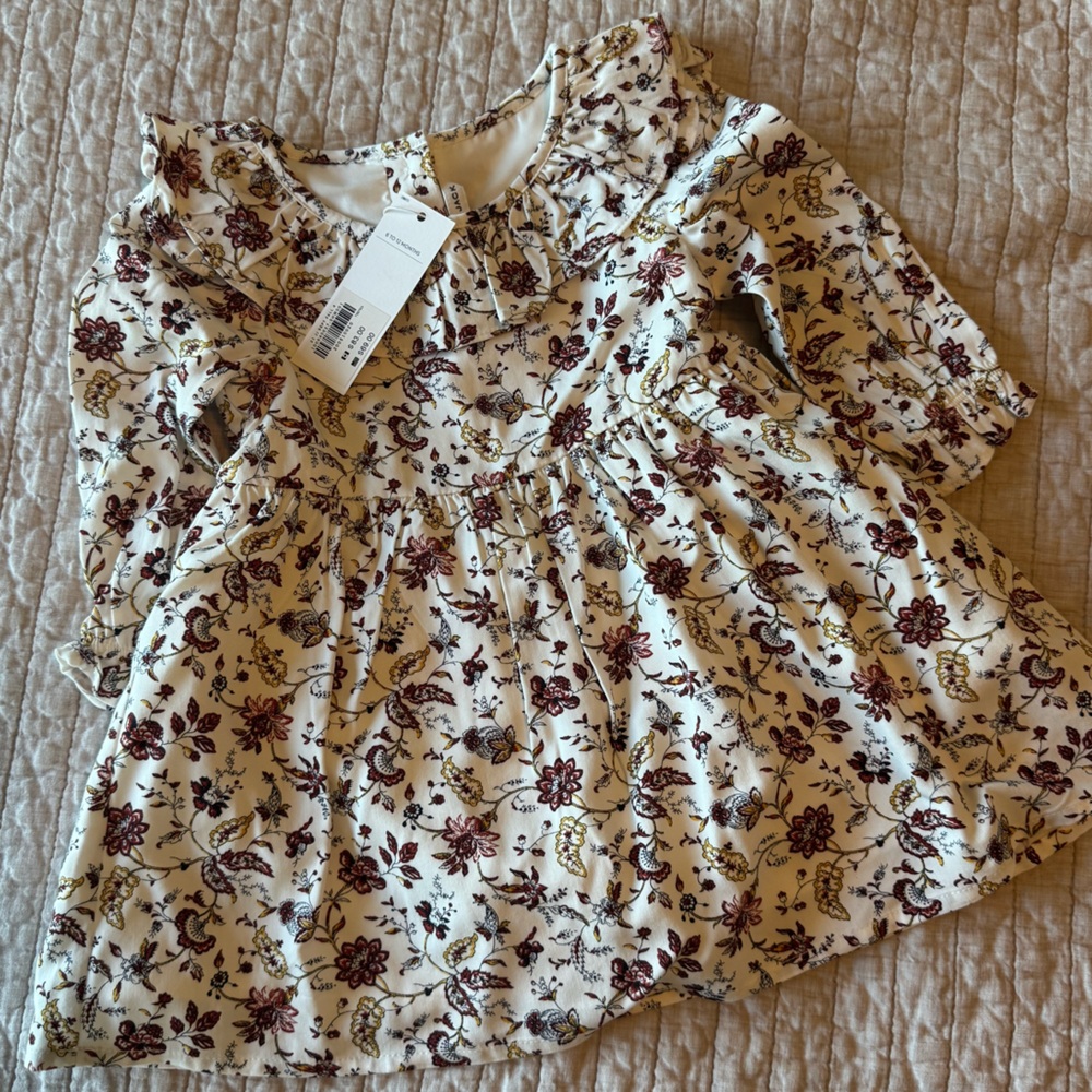 NWT Janie and Jack Dress w/ Fall Flowers Motif (perfect for fall pics!)
